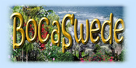Bocaswede-logo